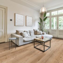 Oak Bristol soya2